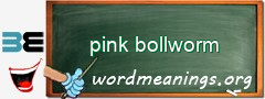 WordMeaning blackboard for pink bollworm